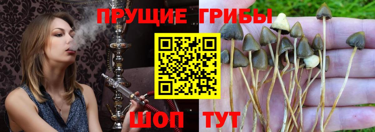 Псилоцибиновые грибы MAGIC MUSHROOMS Нефтекумск